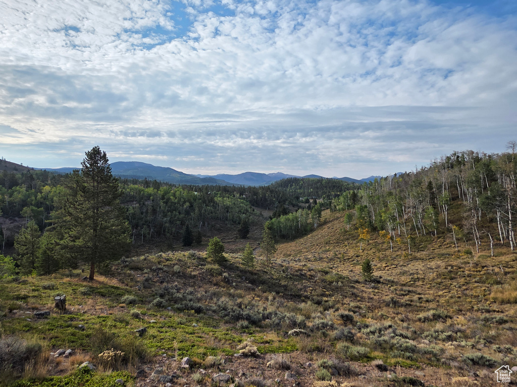 Photo 21 for MLS #2109905 at 5117 Alpine Rd