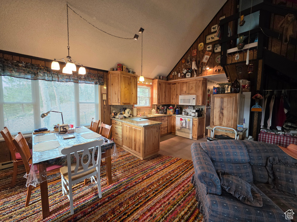 Photo 9 for MLS #2109905 at 5117 Alpine Rd