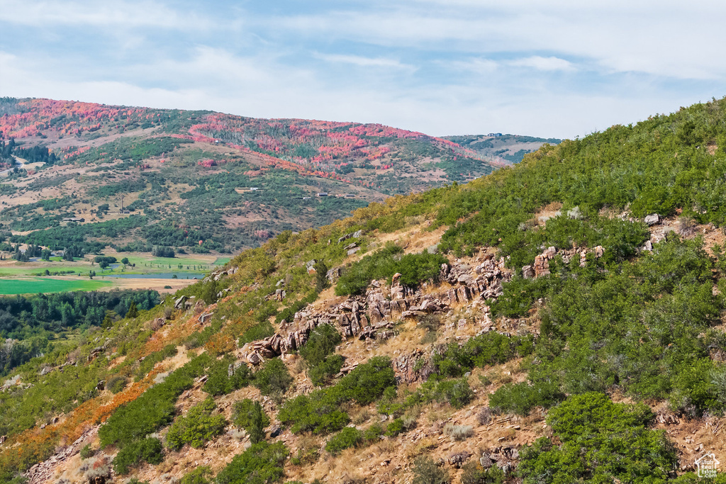 3733 E STATE ROUTE 35 Woodland, UT 84036