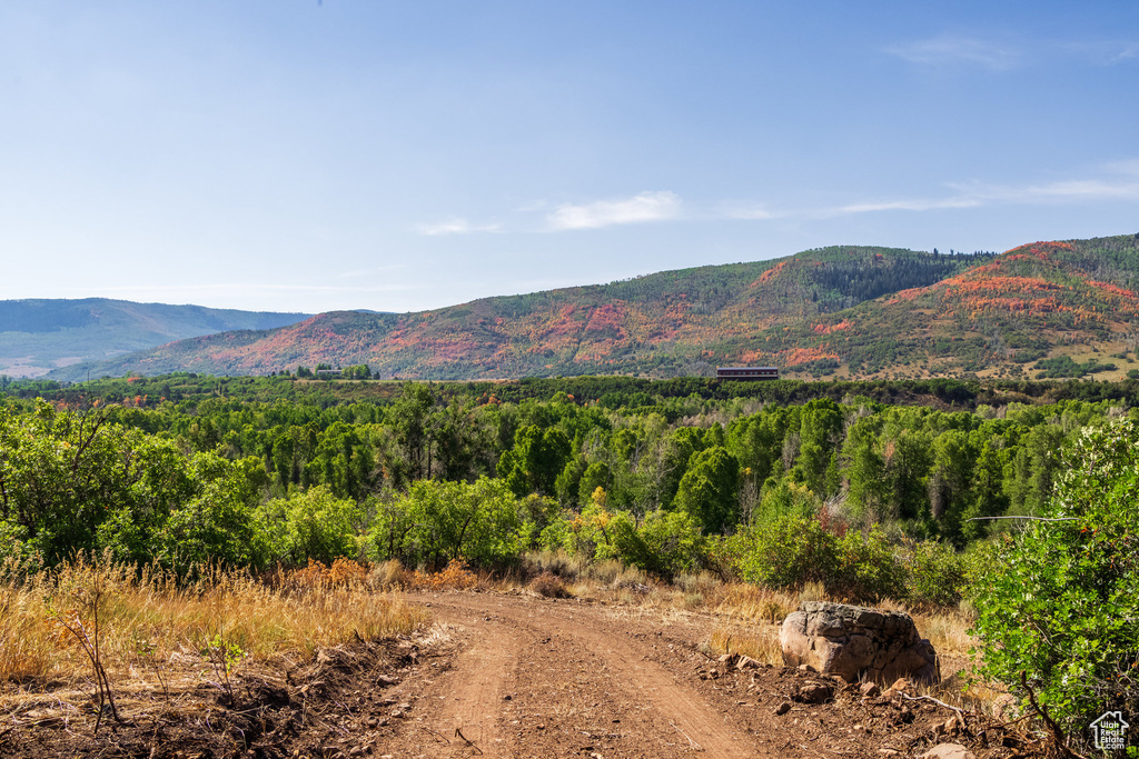 3733 E STATE ROUTE 35 Woodland, UT 84036
