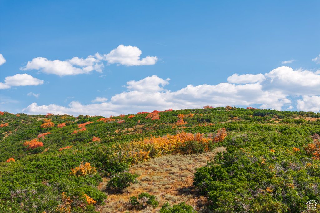 3733 E STATE ROUTE 35 Woodland, UT 84036