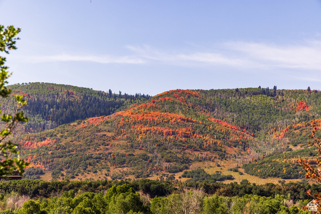 3733 E STATE ROUTE 35 Woodland, UT 84036