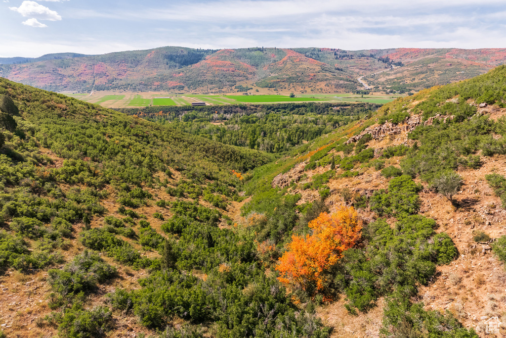 3733 E STATE ROUTE 35 Woodland, UT 84036