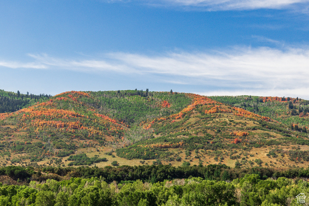 3733 E STATE ROUTE 35 Woodland, UT 84036