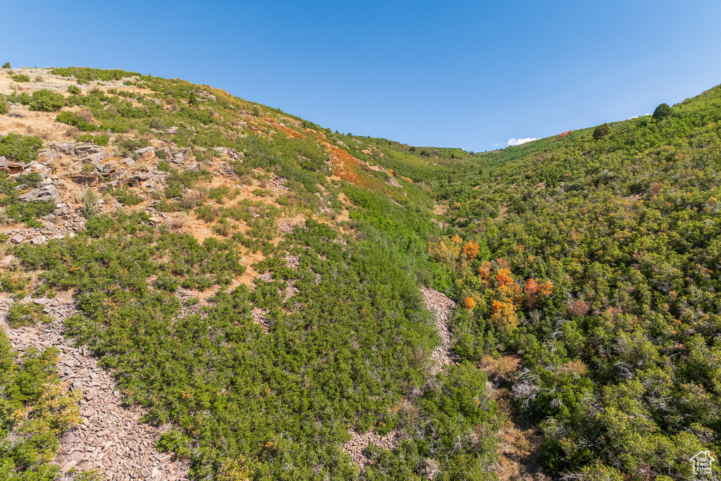3733 E STATE ROUTE 35 Woodland, UT 84036