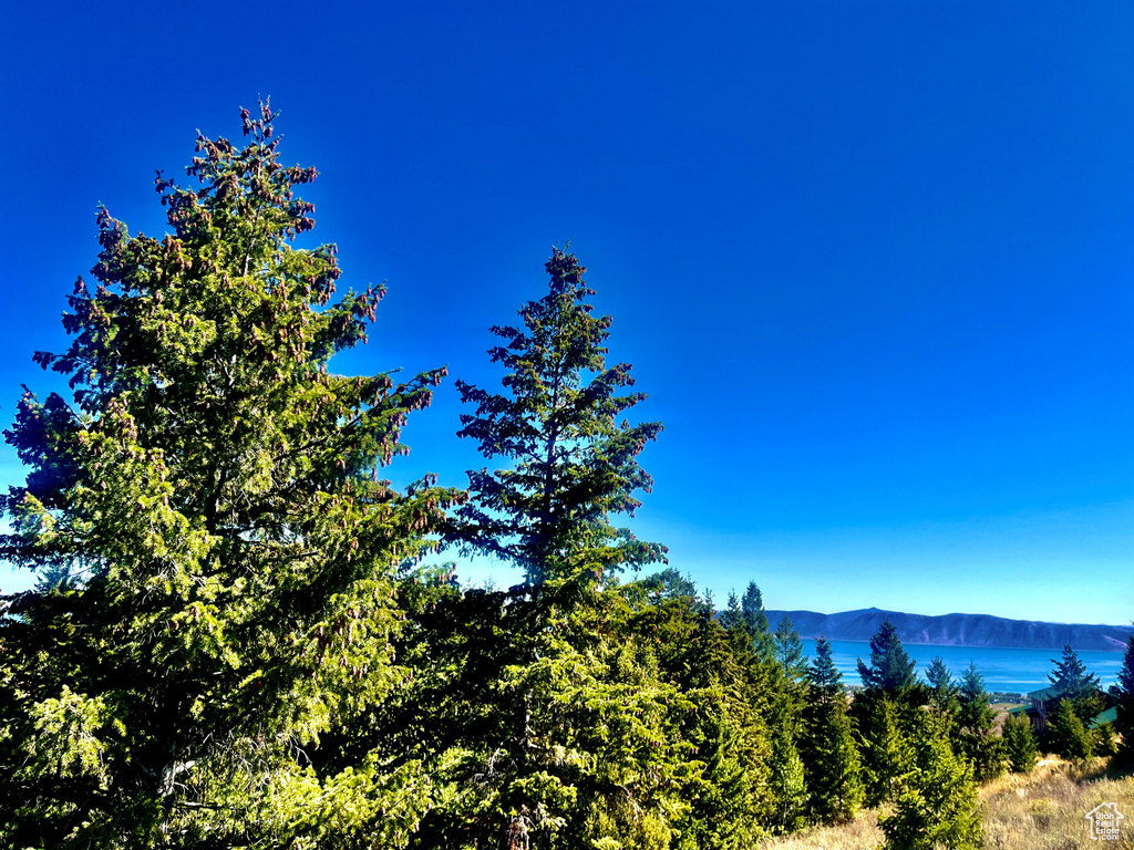 1745 W CEDAR RIDGE DR Garden City, UT 84028