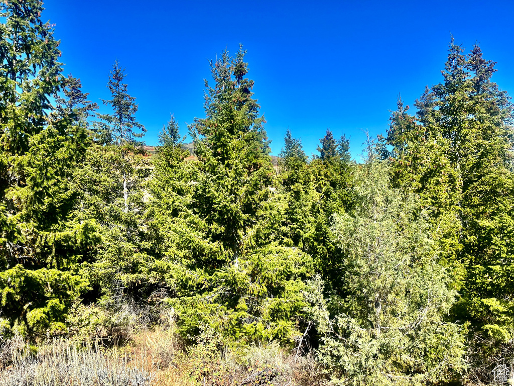 1745 W CEDAR RIDGE DR Garden City, UT 84028