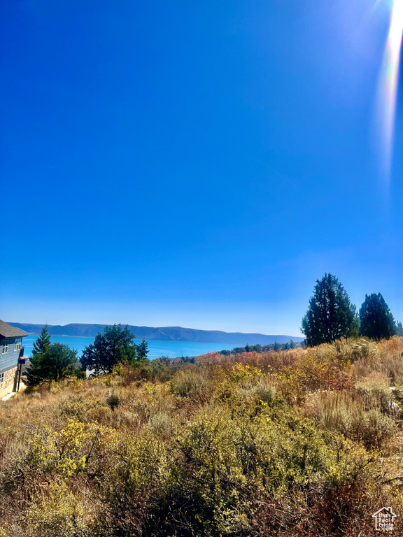 1745 W CEDAR RIDGE DR Garden City, UT 84028