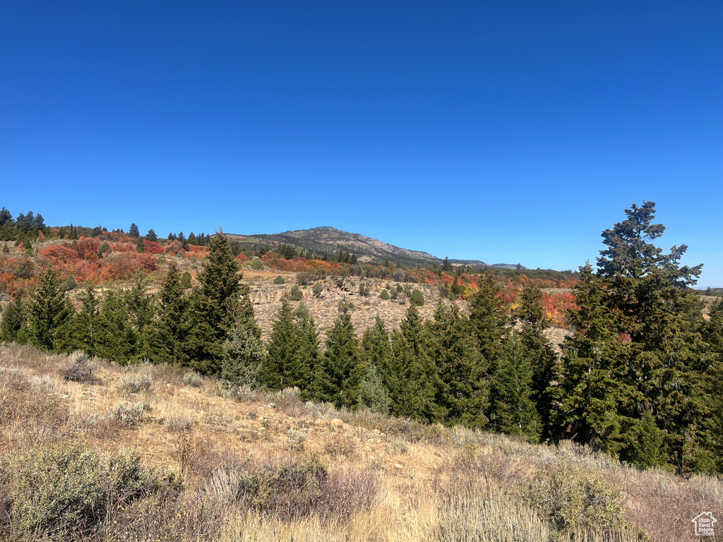 1745 W CEDAR RIDGE DR Garden City, UT 84028