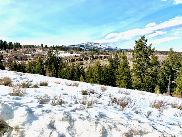 1745 W CEDAR RIDGE DR Garden City, UT 84028