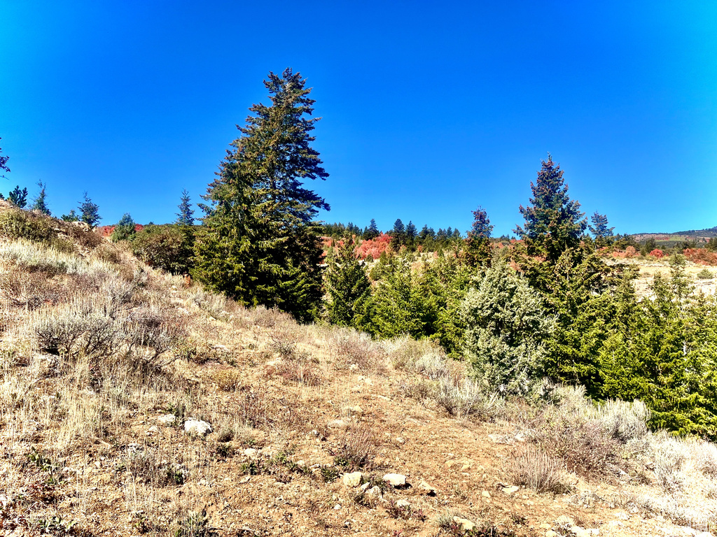 1745 W CEDAR RIDGE DR Garden City, UT 84028