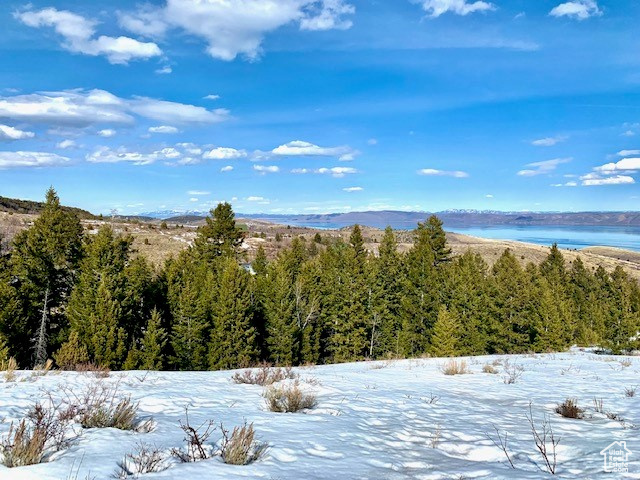 1745 W CEDAR RIDGE DR Garden City, UT 84028