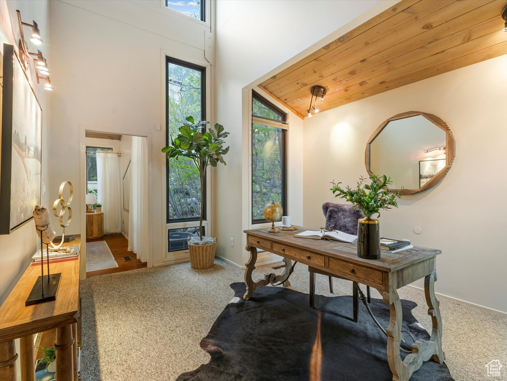 Photo 29 for MLS #2109947 at 4517 S Abinadi Rd