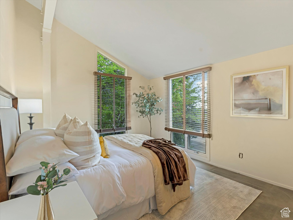 Photo 31 for MLS #2109947 at 4517 S Abinadi Rd