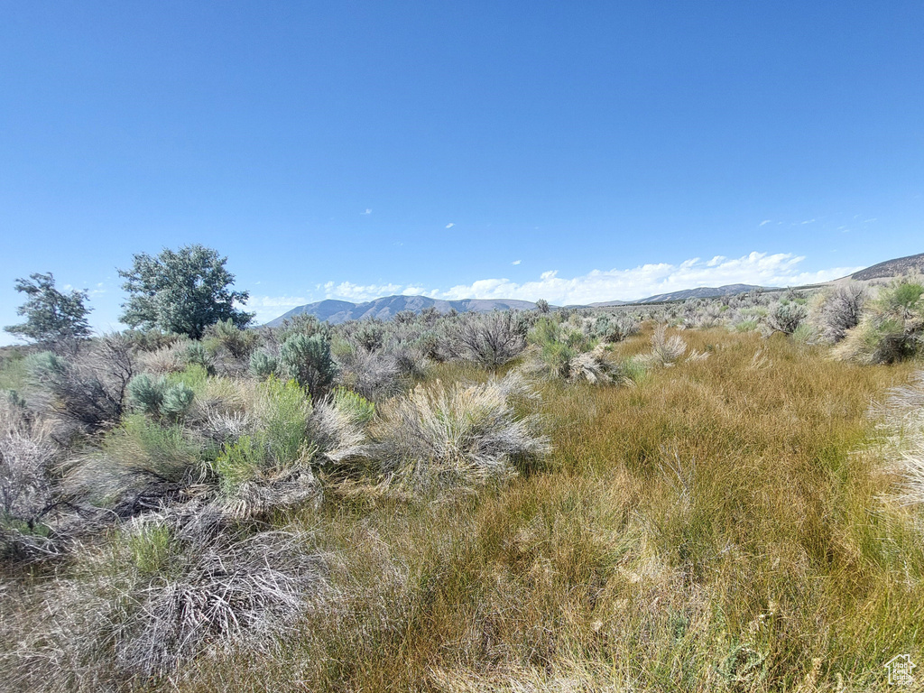  Rush Valley, UT 84069