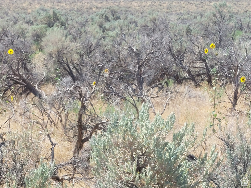  Rush Valley, UT 84069