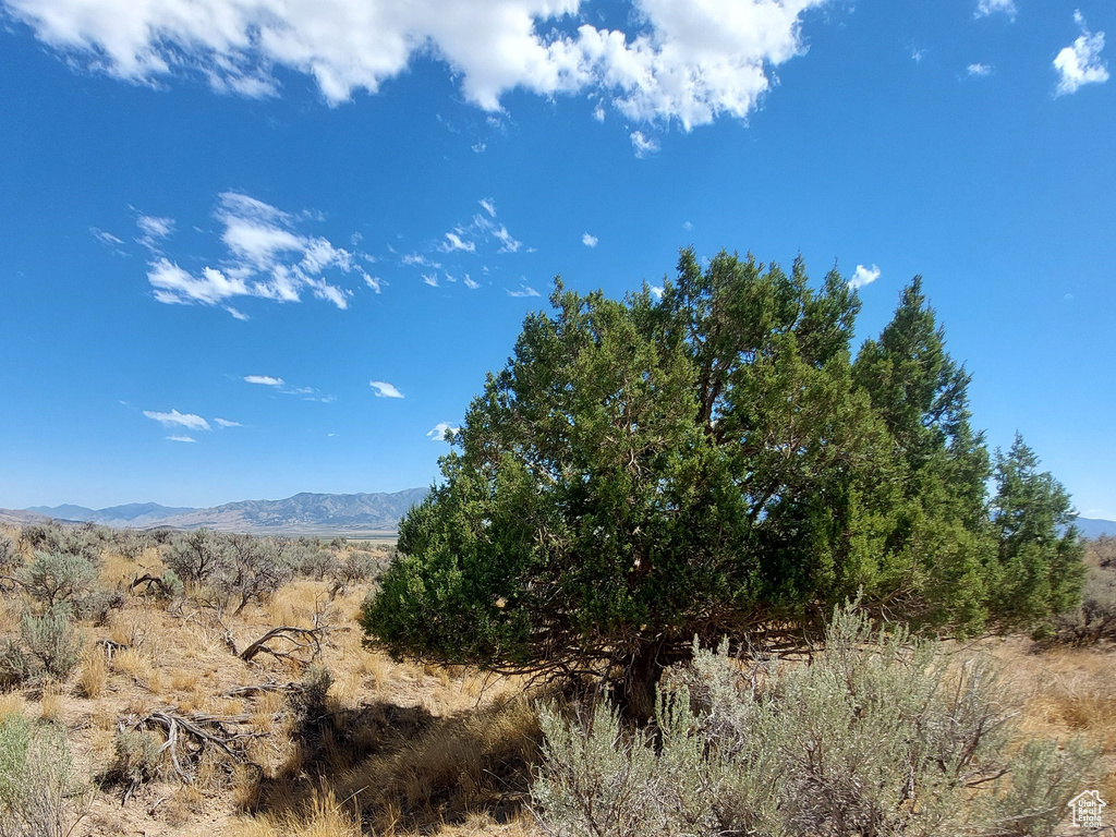  Rush Valley, UT 84069