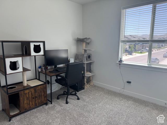 Photo 18 for MLS #2109993 at 4574 W Voight Ln #C203