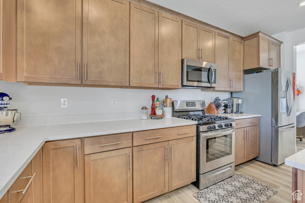 Photo 11 for MLS #2110012 at 388 W Peppergrass Way