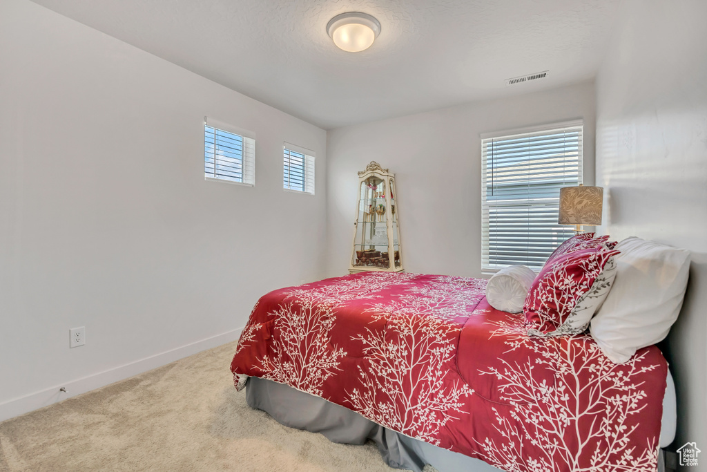 Photo 25 for MLS #2110012 at 388 W Peppergrass Way