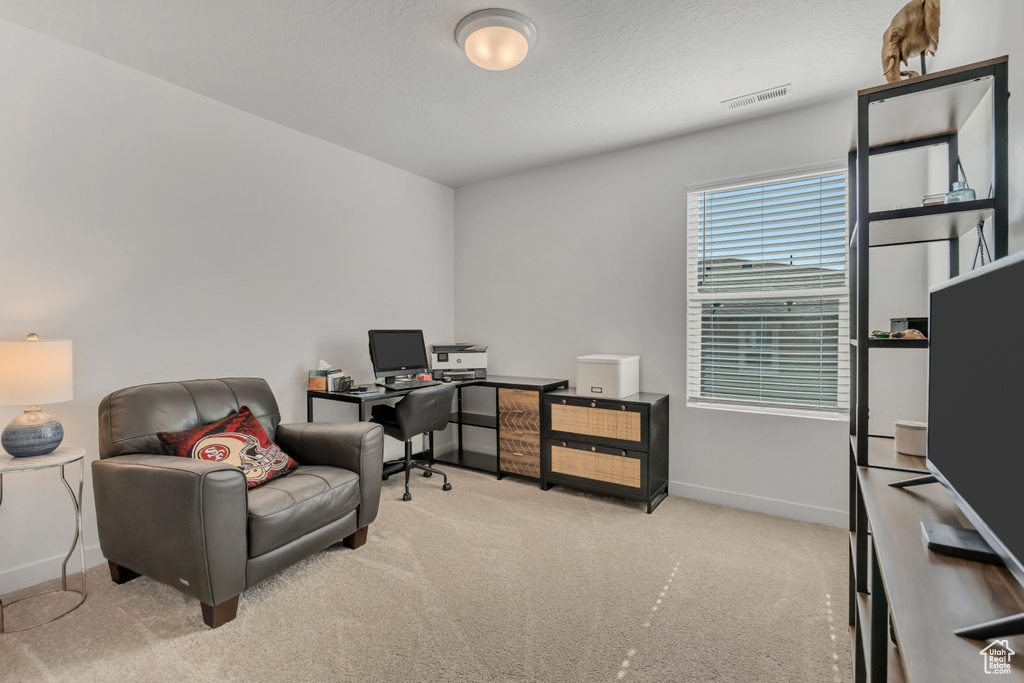 Photo 30 for MLS #2110012 at 388 W Peppergrass Way