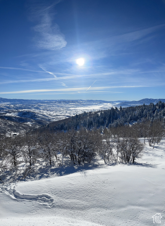 576 UPPER COVE RD #76 Park City, UT 84060