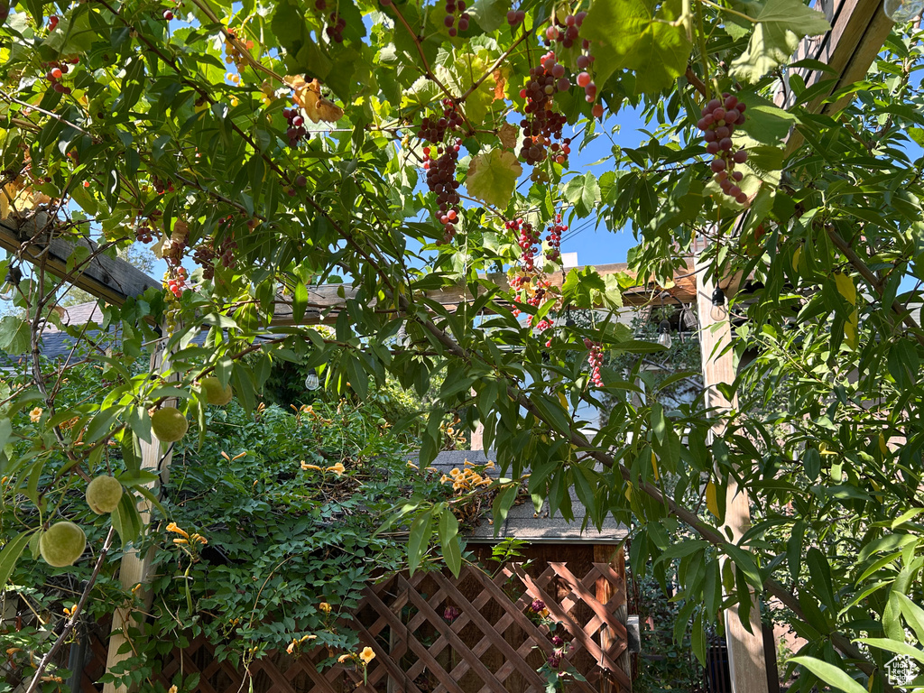 Photo 22 for MLS #2110035 at 722 E 7th Ave