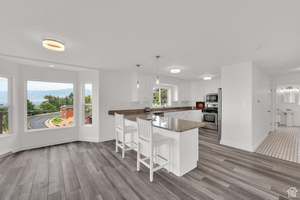 Photo 8 for MLS #2110110 at 585 E Marialana Way