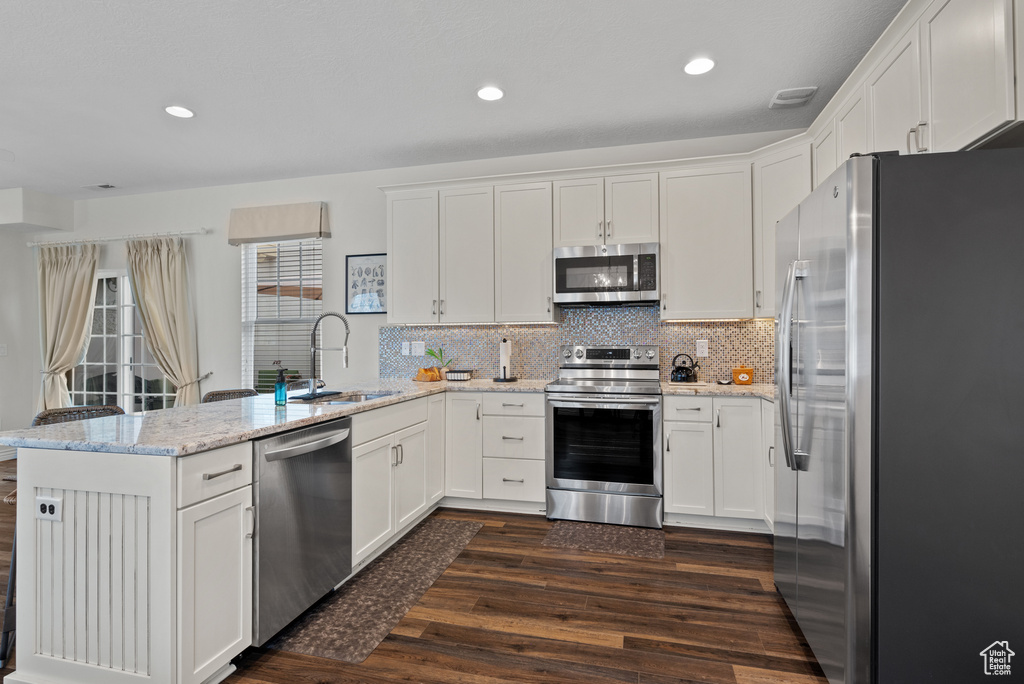 Photo 10 for MLS #2110114 at 11224 S Jonagold Dr