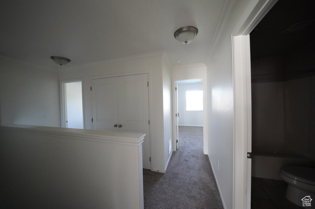 Photo 18 for MLS #2110124 at 4197 Cresthaven Ln