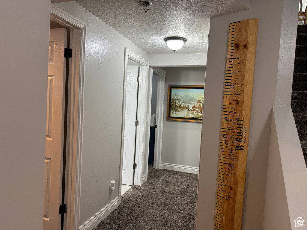 4923 W SILVERTIP DR Kearns, UT 84118