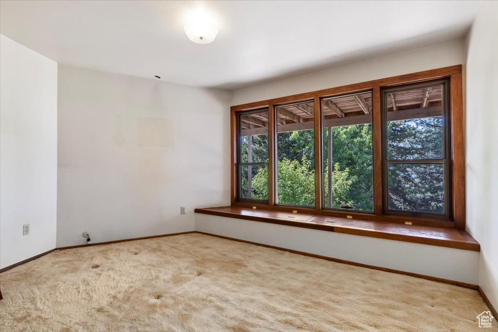 8764 S RUSSELL PARK RD Cottonwood Heights, UT 84121