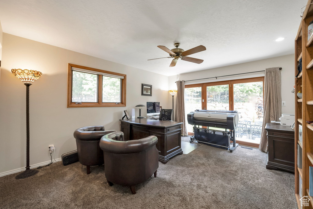 Photo 13 for MLS #2110189 at 930 S Woodland Hills Dr