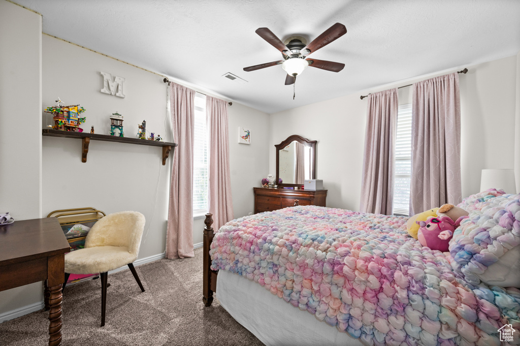 Photo 19 for MLS #2110232 at 2534 W Adelaide Dr