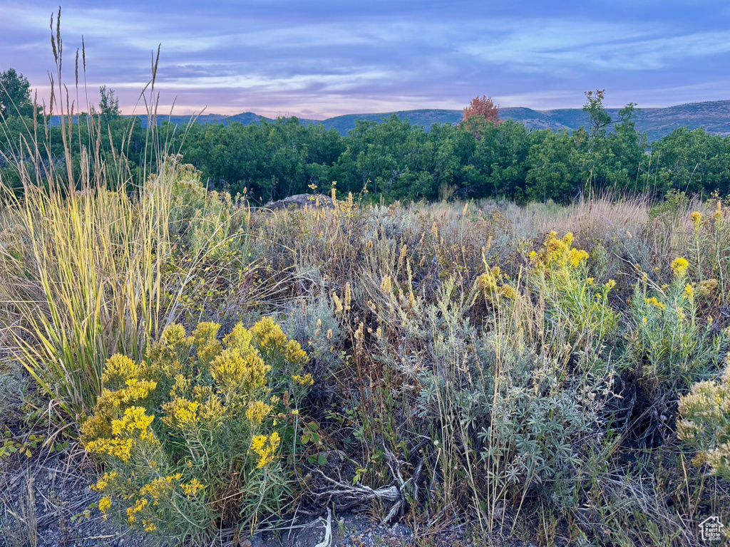 9195  DEER CREEK DR Heber City, UT 84032