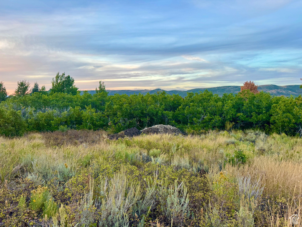 9195  DEER CREEK DR Heber City, UT 84032