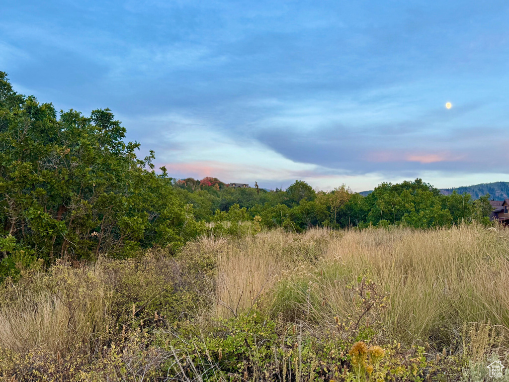 9195  DEER CREEK DR Heber City, UT 84032