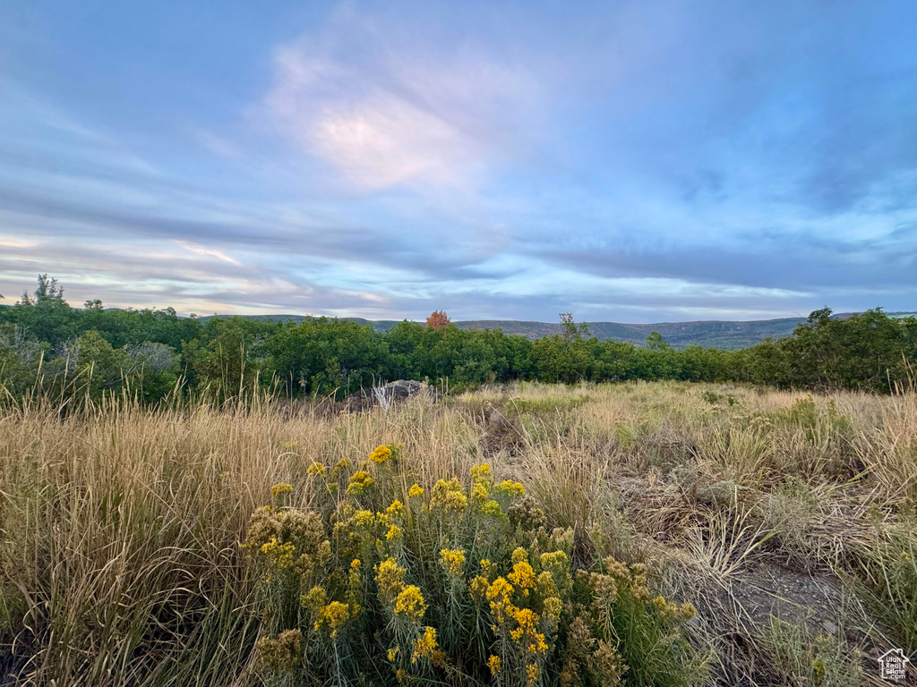 9195  DEER CREEK DR Heber City, UT 84032