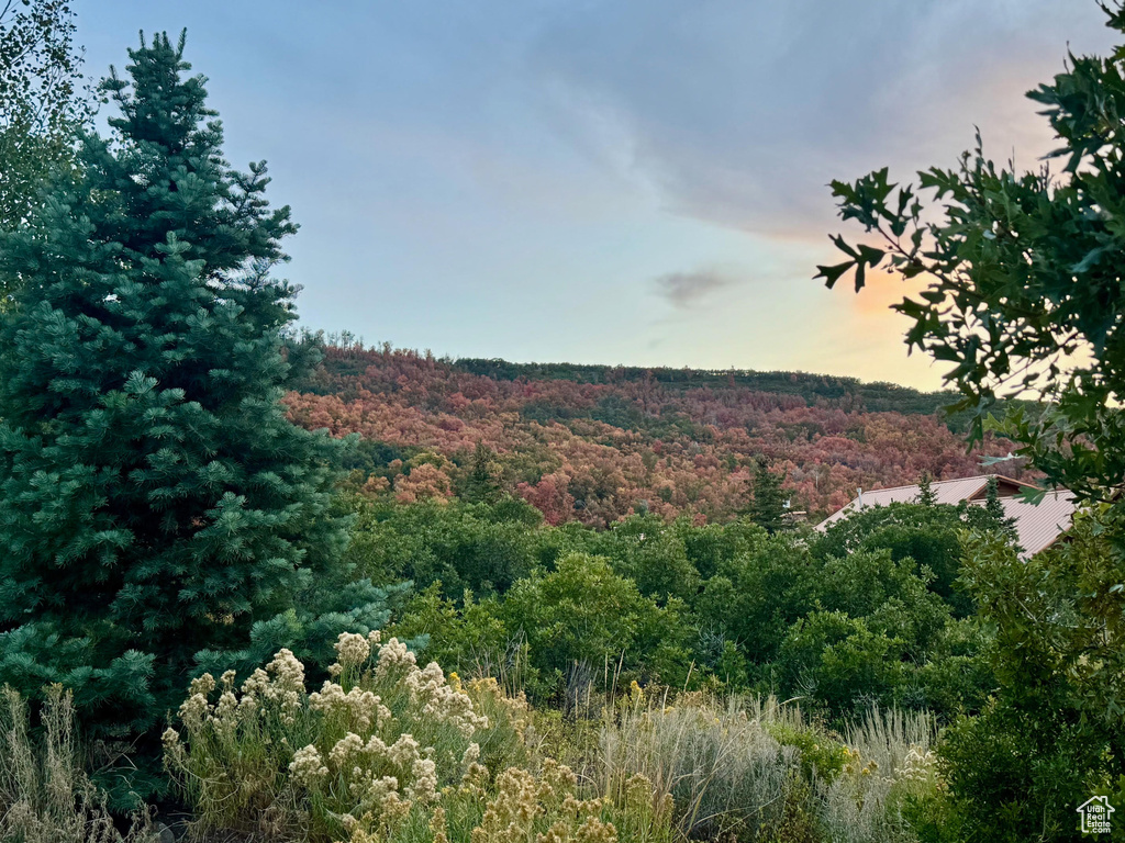 9195  DEER CREEK DR Heber City, UT 84032