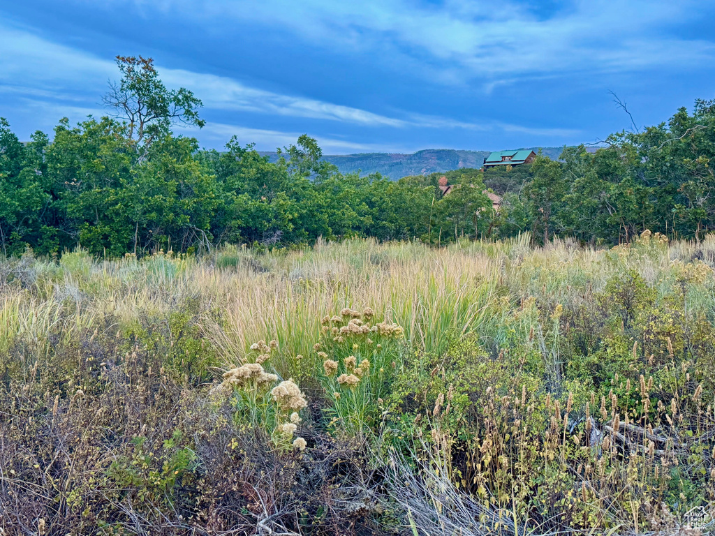 9195  DEER CREEK DR Heber City, UT 84032