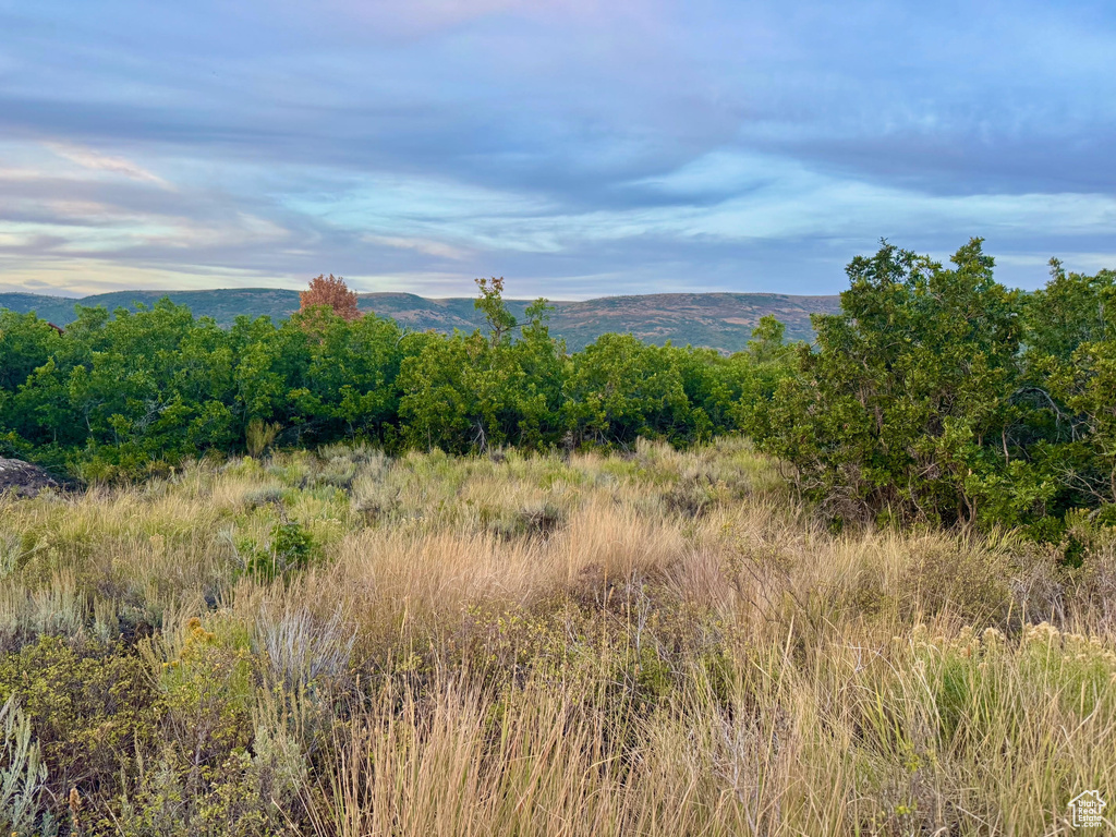 9195  DEER CREEK DR Heber City, UT 84032