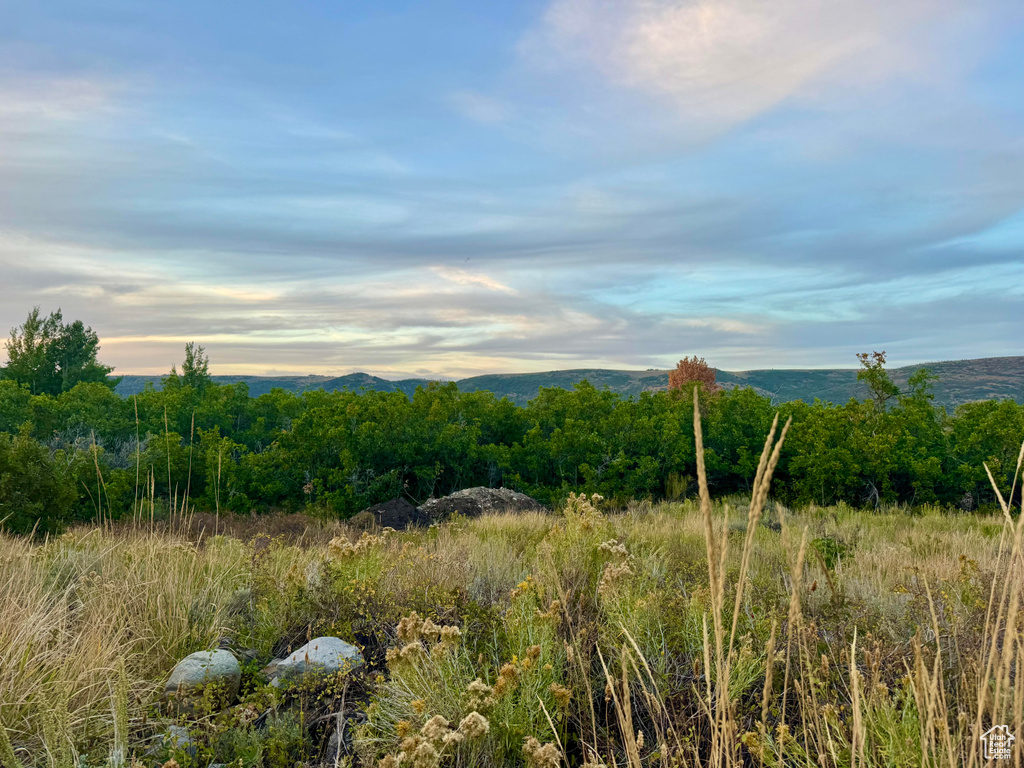 9195  DEER CREEK DR Heber City, UT 84032