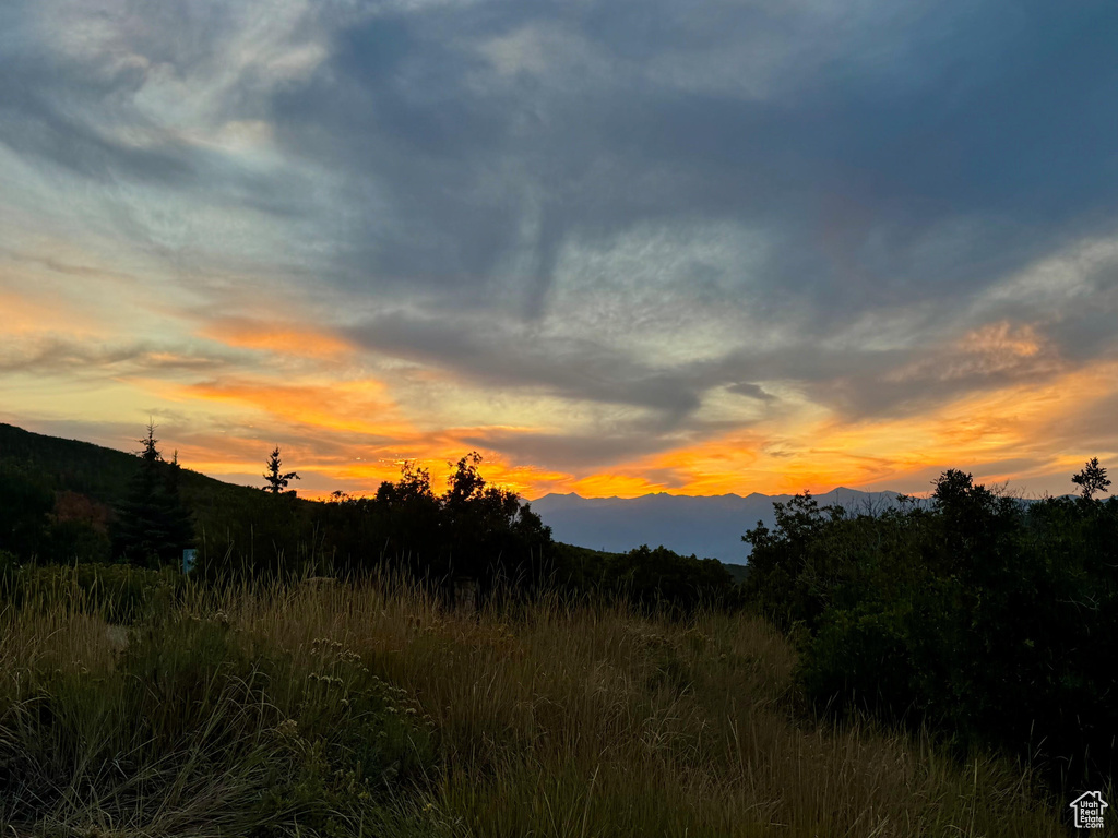 9195  DEER CREEK DR Heber City, UT 84032