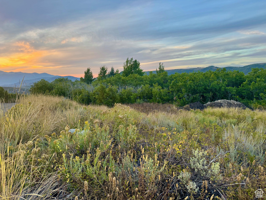 9195  DEER CREEK DR Heber City, UT 84032