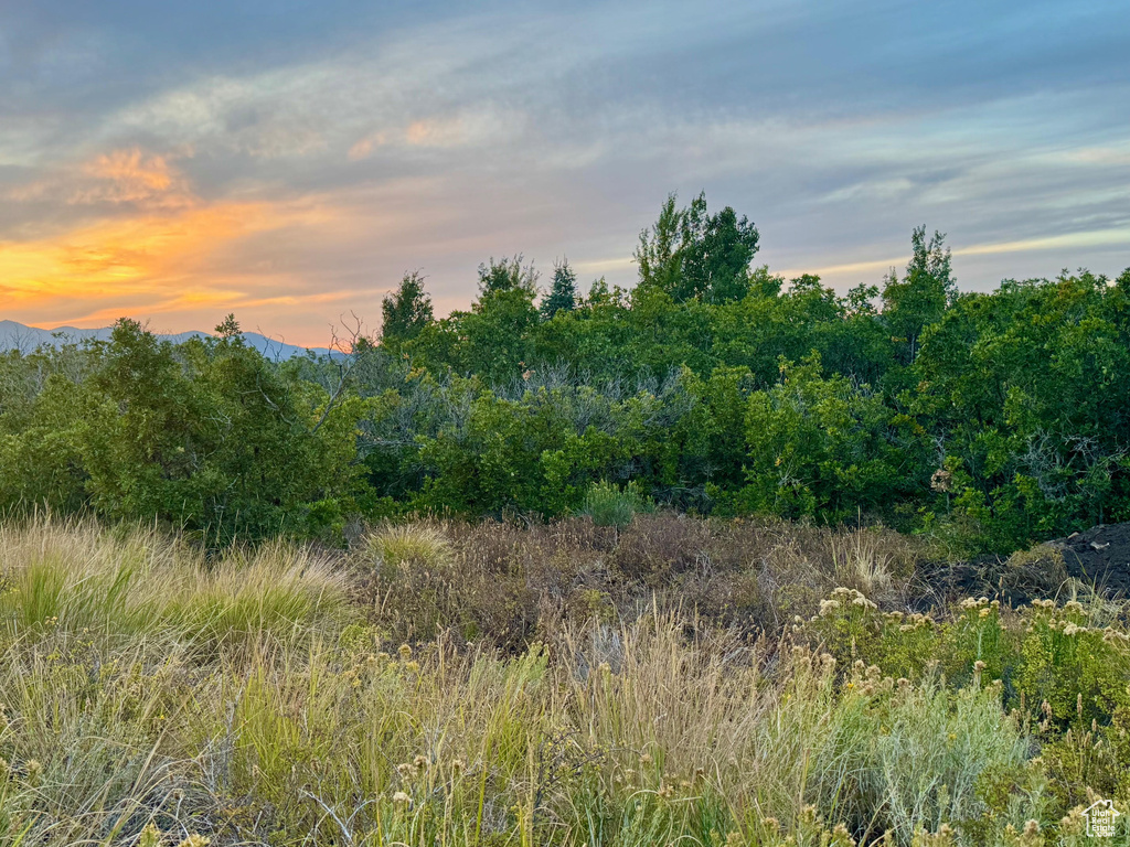 9195  DEER CREEK DR Heber City, UT 84032