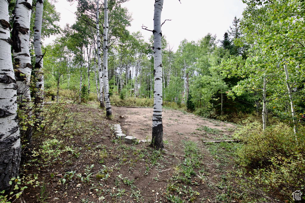 Photo 74 for MLS #2110295 at 4825 E Balsam Dr #707
