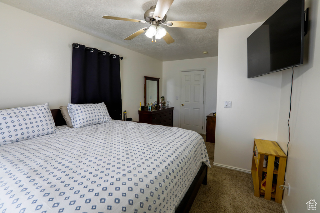 Photo 12 for MLS #2110307 at 4731 Quickdraw Ln