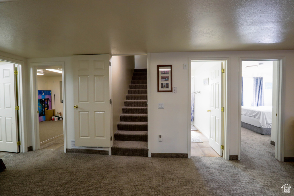 Photo 19 for MLS #2110307 at 4731 Quickdraw Ln