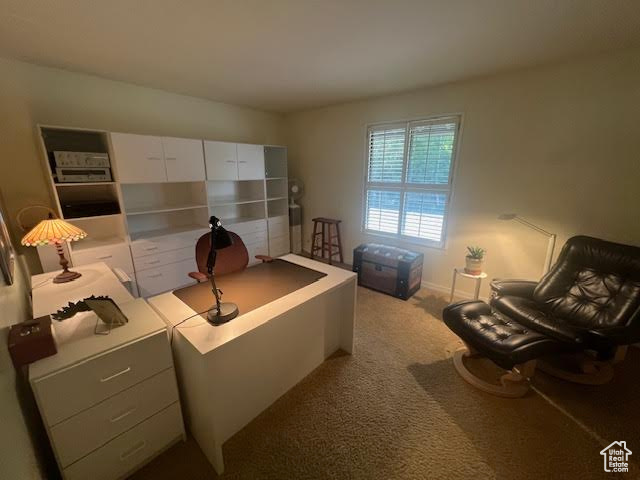 Photo 22 for MLS #2110327 at 4738 S Woodduck Ln