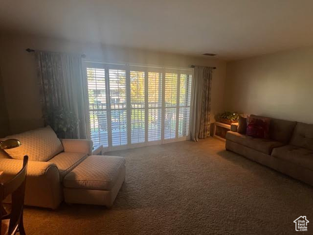 Photo 9 for MLS #2110327 at 4738 S Woodduck Ln
